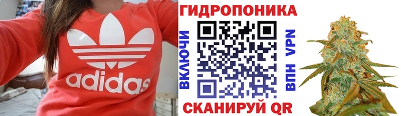 Какие есть наркотики Пудож Конопля Меф мяу мяу Кокаин ОМГ ОМГ онион ГАШ