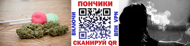 KRAKEN как войти  Пудож  Cannafood конопля 