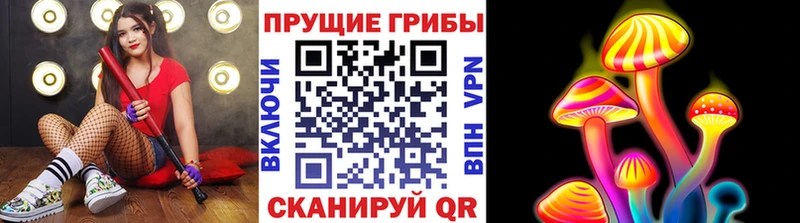 Галлюциногенные грибы прущие грибы  Пудож 